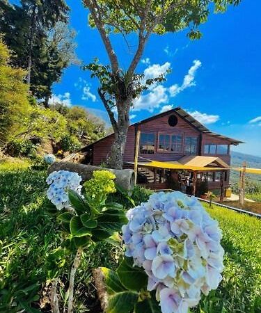 Casa 1800 Los Naranjos Boutique Hotel ภายนอก รูปภาพ
