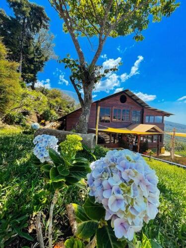 Casa 1800 Los Naranjos Boutique Hotel ภายนอก รูปภาพ
